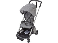 Load image into Gallery viewer, Bugaboo Ant