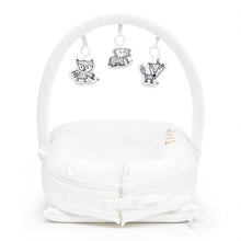 Load image into Gallery viewer, Dockatot Toy Arch & Toy Set Bundle