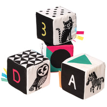 Load image into Gallery viewer, Wimmer Ferguson Mind-Cubes
