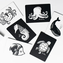 Load image into Gallery viewer, Wee Gallery Art Cards for Baby
