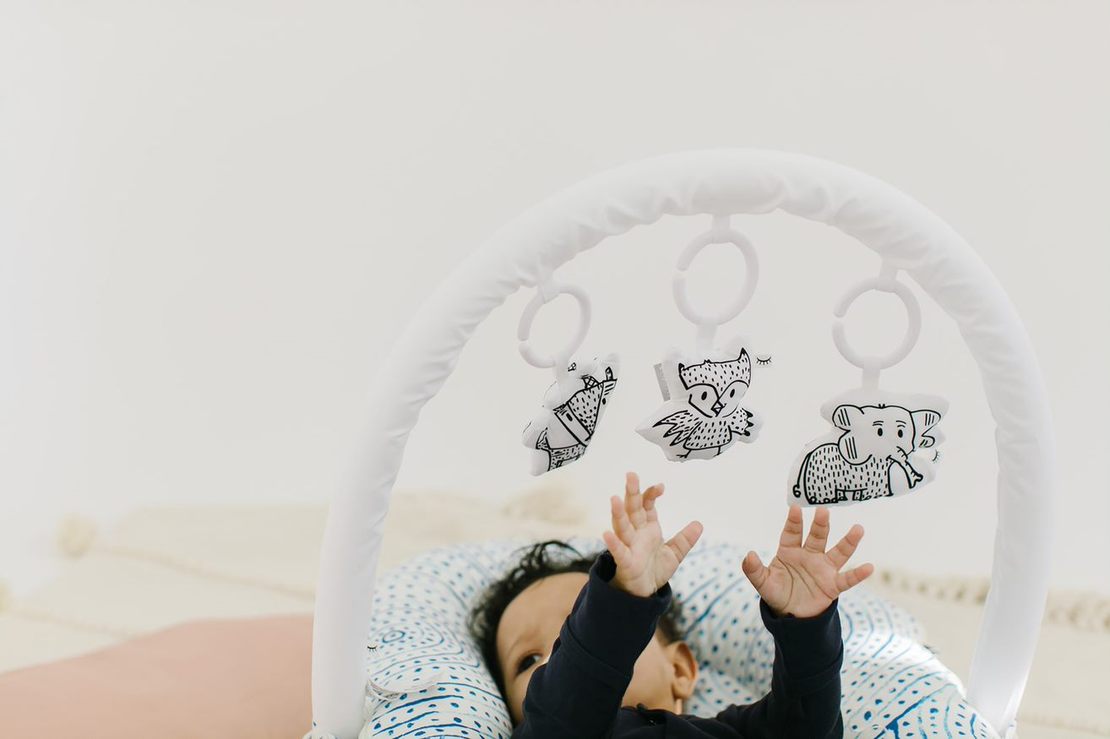 Dockatot Toy Arch & Toy Set Bundle – Seedlings