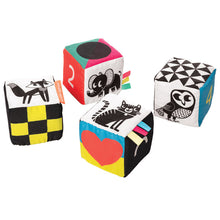 Load image into Gallery viewer, Wimmer Ferguson Mind-Cubes
